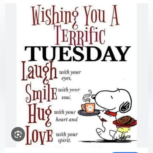 ๐๐VINTAGE SHOW FRI OCT 31 8am 
Cashmere Wool Silk Linen๐
๐ - Picture 9 of 15